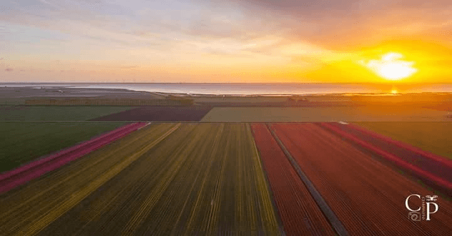 Drone foto of video